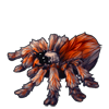6920-dark-honey-tarantula.png