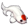 7022-tancho-koi.png