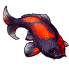 7024-hiutsuri-koi.png