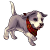 7198-gray-harvest-pup.png