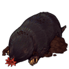 7538-star-nosed-mole.png