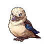 7561-blue-wing-kookaburra.png
