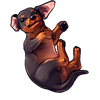 7577-black-and-rust-dachshund-pup.png