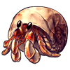 7669-starter-shell-hermit-crab.png