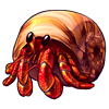 7670-renovated-shell-hermit-crab.png