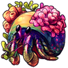 7672-dream-shell-hermit-crab.png
