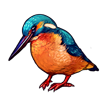 7702-jade-winged-kingfisher.png