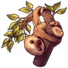 7943-natural-two-toe-sloth.png