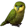 8119-natural-kakapo.png