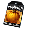 9436-pumpkin-seed-packet.png