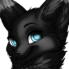 Kyte